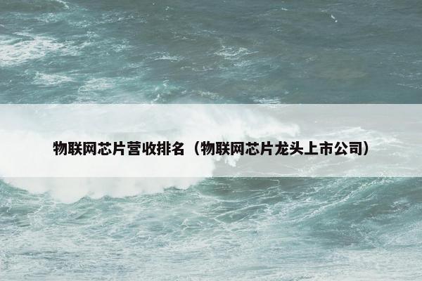 物联网芯片营收排名（物联网芯片龙头上市公司）
