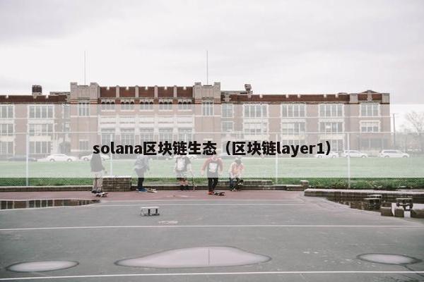 solana区块链生态（区块链layer1）