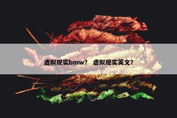 虚拟现实bmw？ 虚拟现实英文？