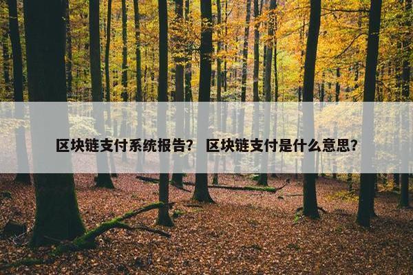 区块链支付系统报告？ 区块链支付是什么意思？