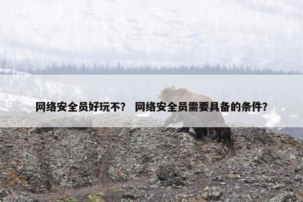 网络安全员好玩不？ 网络安全员需要具备的条件？
