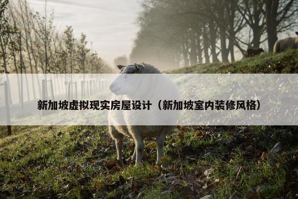 新加坡虚拟现实房屋设计（新加坡室内装修风格）