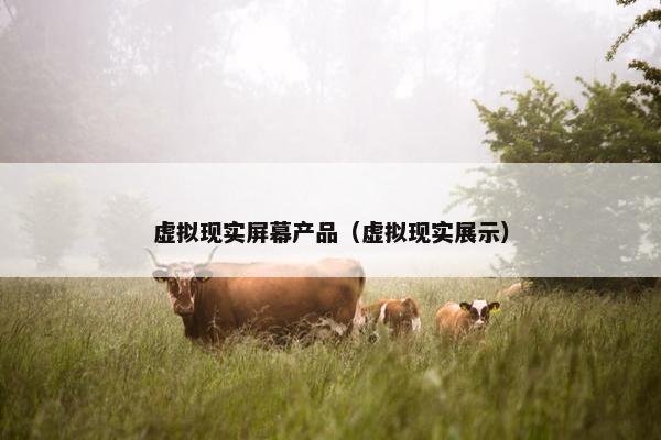 虚拟现实屏幕产品（虚拟现实展示）