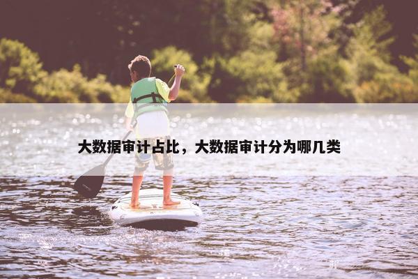 大数据审计占比，大数据审计分为哪几类