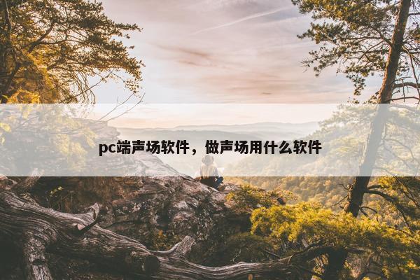 pc端声场软件，做声场用什么软件