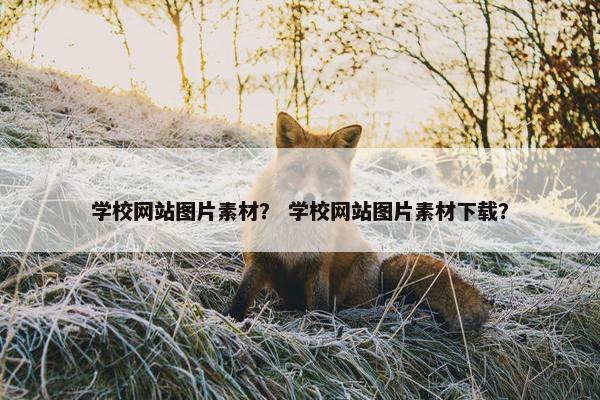 学校网站图片素材？ 学校网站图片素材下载？