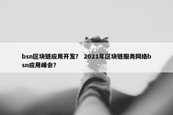 bsn区块链应用开发？ 2021年区块链服务网络bsn应用峰会？
