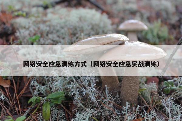 网络安全应急演练方式（网络安全应急实战演练）