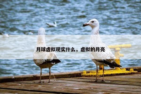 月球虚拟现实什么，虚拟的月亮