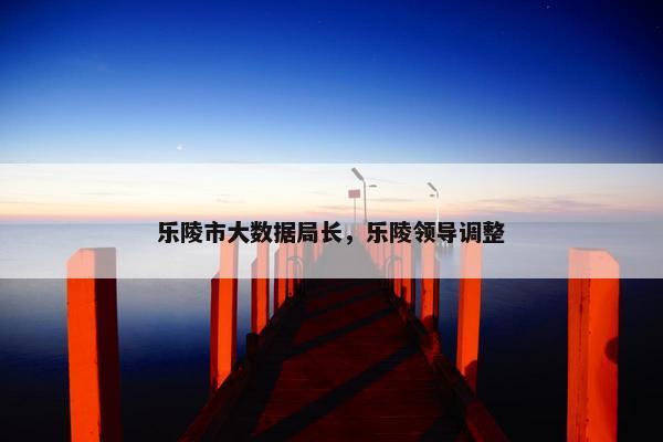 乐陵市大数据局长，乐陵领导调整