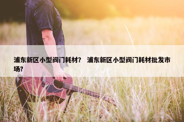 浦东新区小型阀门耗材？ 浦东新区小型阀门耗材批发市场？