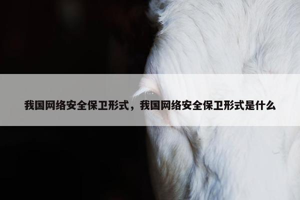 我国网络安全保卫形式，我国网络安全保卫形式是什么