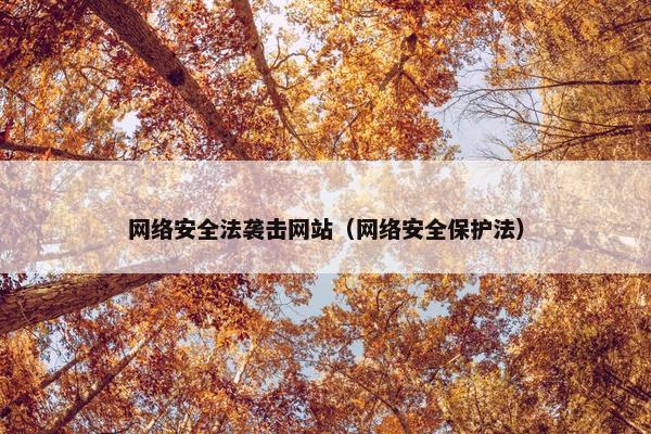 网络安全法袭击网站（网络安全保护法）