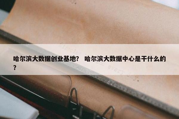 哈尔滨大数据创业基地？ 哈尔滨大数据中心是干什么的？