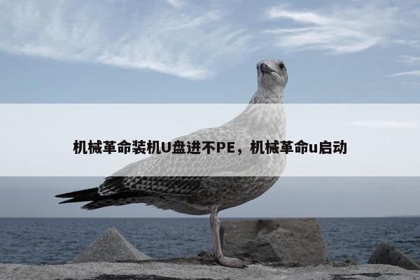 机械革命装机U盘进不PE，机械革命u启动