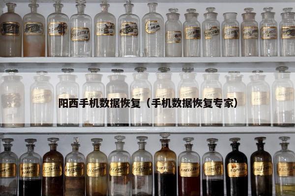 阳西手机数据恢复（手机数据恢复专家）