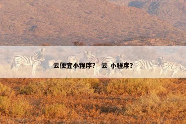 云便宜小程序？ 云 小程序？