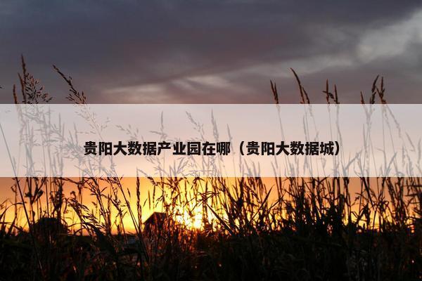 贵阳大数据产业园在哪（贵阳大数据城）