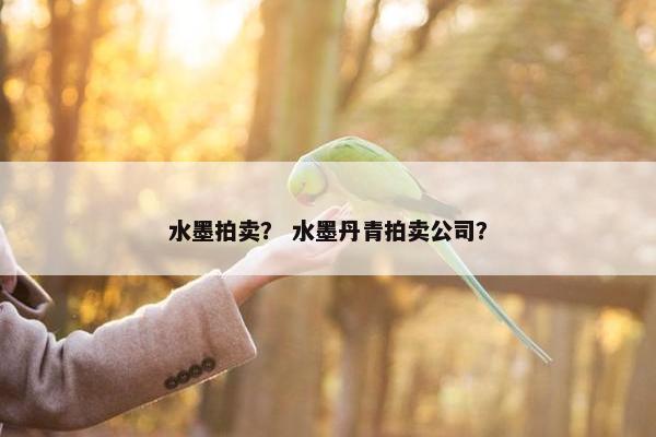 水墨拍卖？ 水墨丹青拍卖公司？