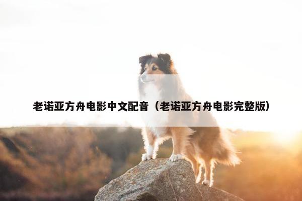 老诺亚方舟电影中文配音（老诺亚方舟电影完整版）