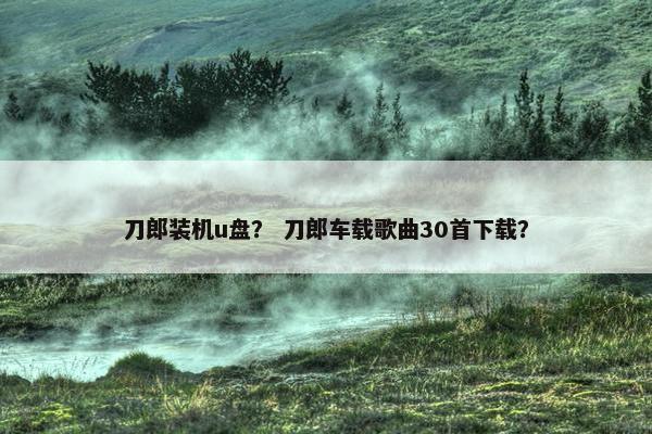 刀郎装机u盘？ 刀郎车载歌曲30首下载？