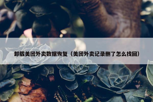 卸载美团外卖数据恢复（美团外卖记录删了怎么找回）