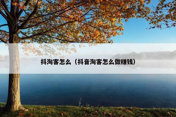 抖淘客怎么（抖音淘客怎么做赚钱）