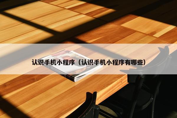认识手机小程序（认识手机小程序有哪些）