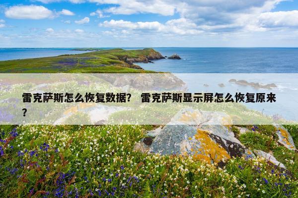 雷克萨斯怎么恢复数据？ 雷克萨斯显示屏怎么恢复原来？