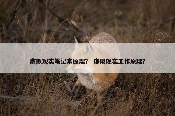 虚拟现实笔记本原理？ 虚拟现实工作原理？
