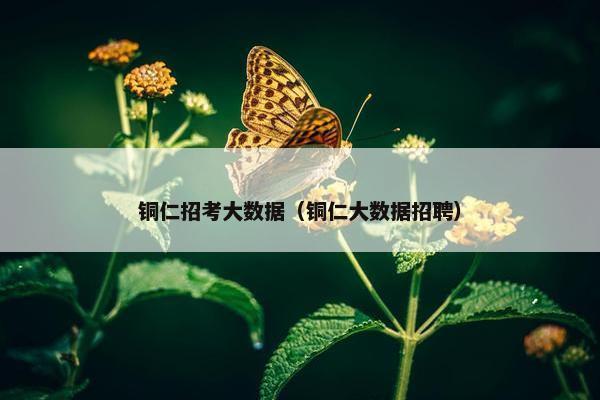 铜仁招考大数据（铜仁大数据招聘）