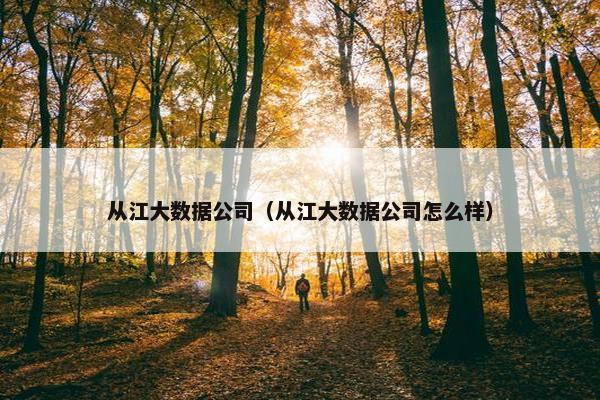 从江大数据公司（从江大数据公司怎么样）