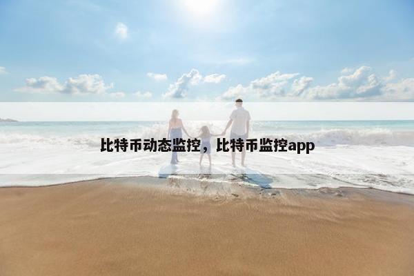 比特币动态监控，比特币监控app