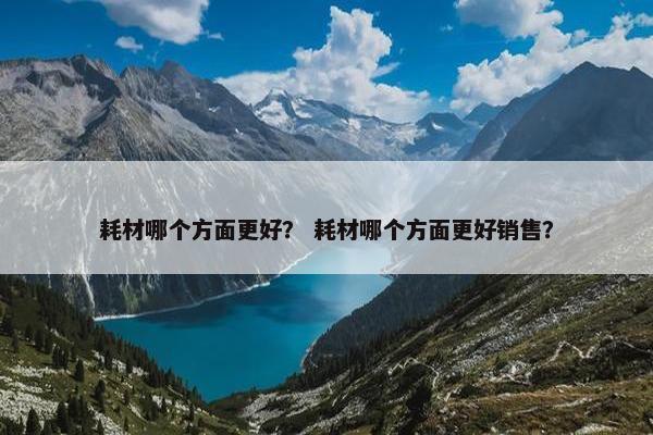 耗材哪个方面更好？ 耗材哪个方面更好销售？
