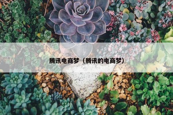腾讯电商梦（腾讯的电商梦）