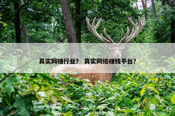 真实网赚行业？ 真实网络赚钱平台？