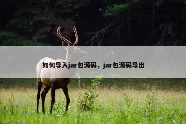 如何导入jar包源码，jar包源码导出