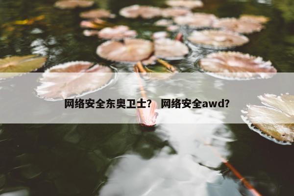 网络安全东奥卫士？ 网络安全awd？