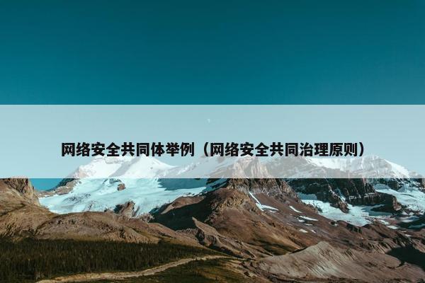 网络安全共同体举例（网络安全共同治理原则）