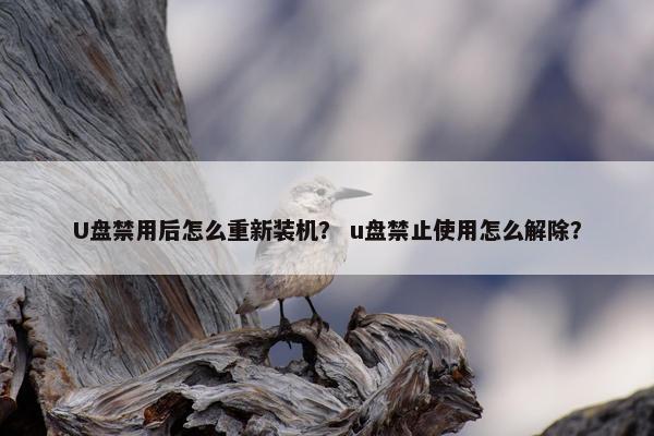 U盘禁用后怎么重新装机？ u盘禁止使用怎么解除？