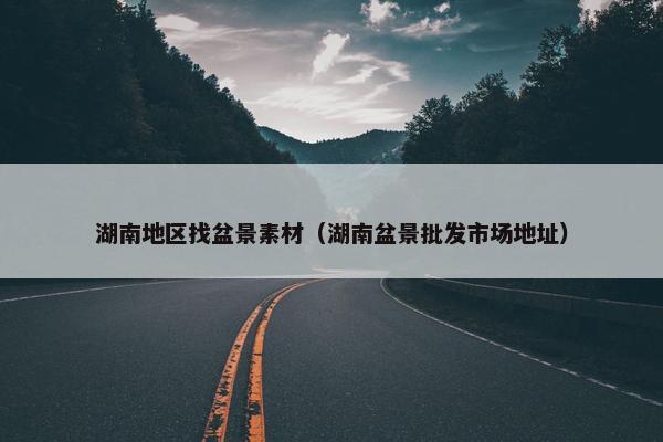 湖南地区找盆景素材（湖南盆景批发市场地址）