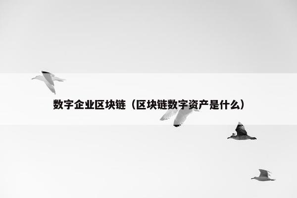 数字企业区块链（区块链数字资产是什么）