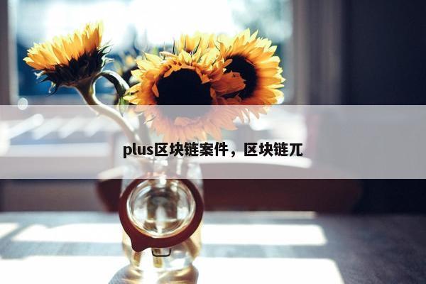 plus区块链案件，区块链兀