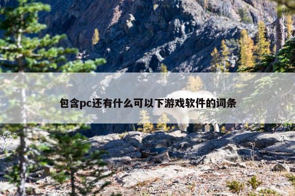 包含pc还有什么可以下游戏软件的词条