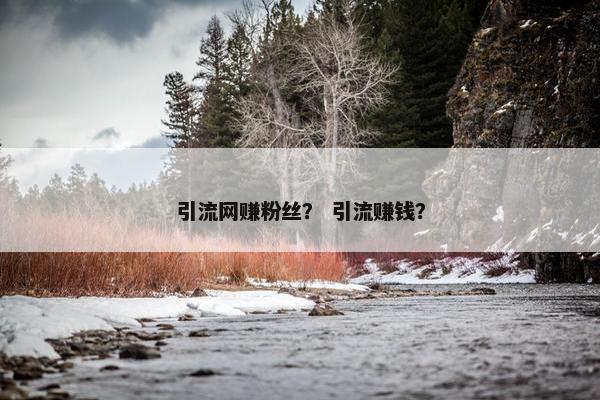 引流网赚粉丝？ 引流赚钱？