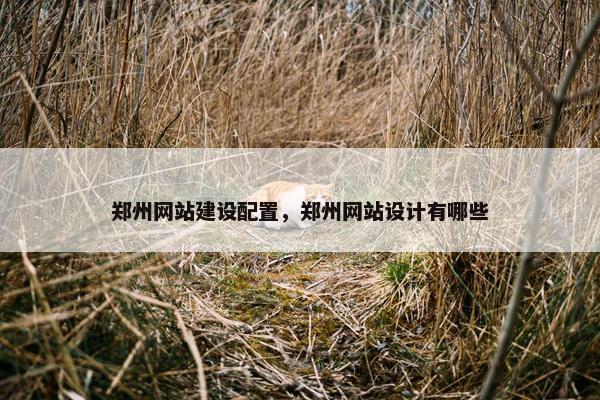 郑州网站建设配置，郑州网站设计有哪些