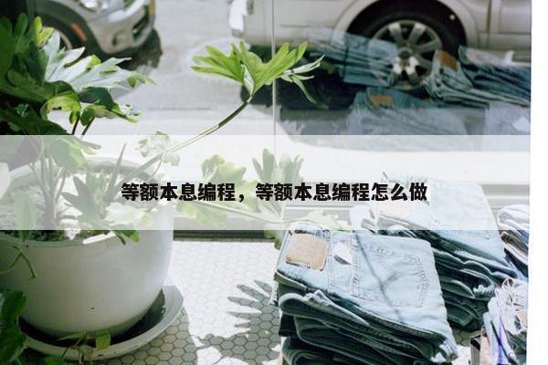 等额本息编程，等额本息编程怎么做