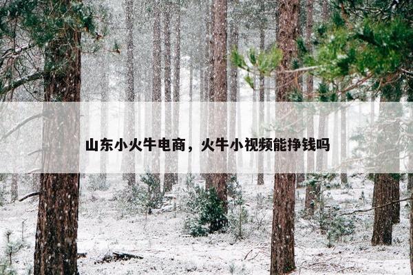 山东小火牛电商，火牛小视频能挣钱吗