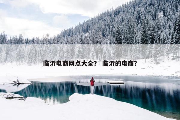 临沂电商网点大全？ 临沂的电商？