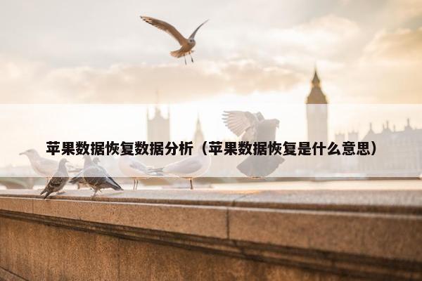 苹果数据恢复数据分析（苹果数据恢复是什么意思）